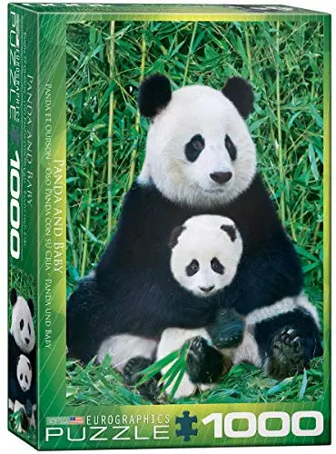 1000 P Panda et son bébé